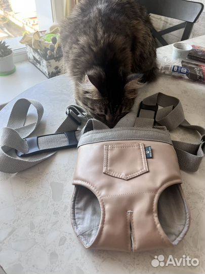 Переноска-кенгуру для кошек, собак.hands free