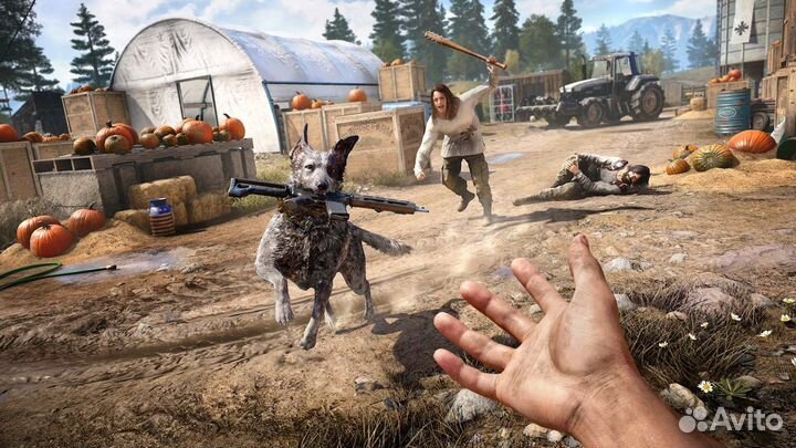 Far Cry 5 Gold PS4/PS5 (RUS) (SH)