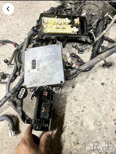 Эбу на toyota Alphard