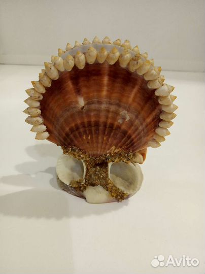 Салфетница из ракушек