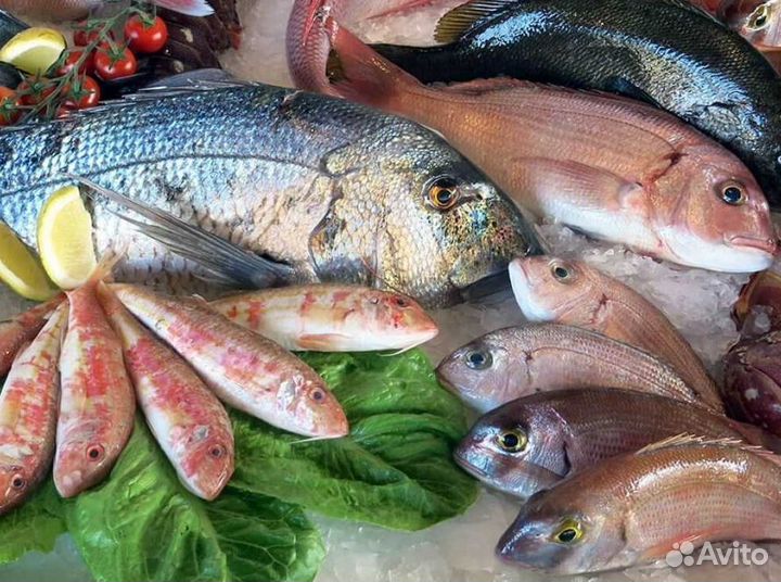 Готовый бизнес: рыбный магазин в центре