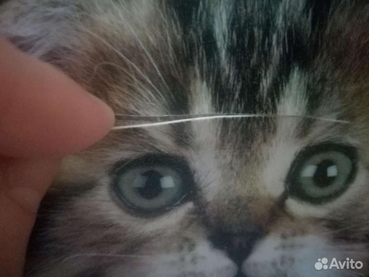 Папка для труда