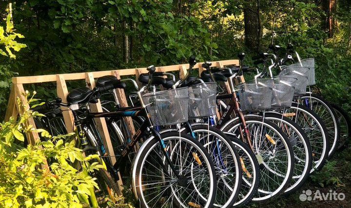 Проживание в глэмпинге «зебирск»