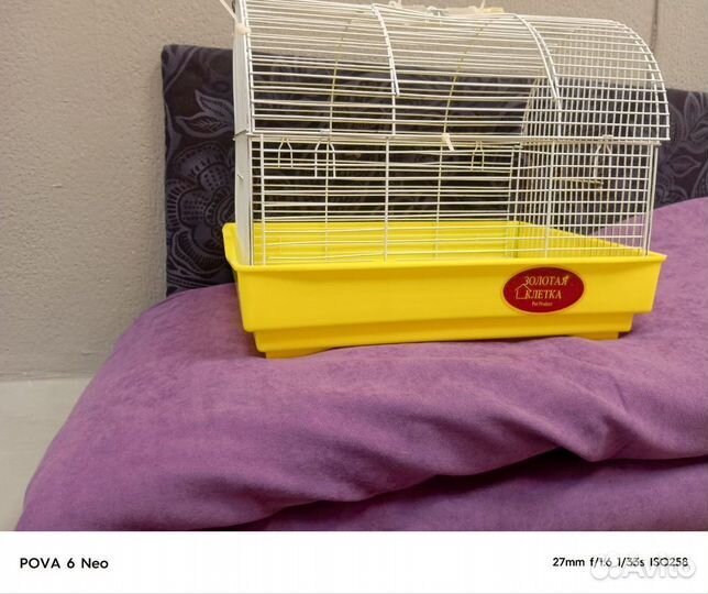 Клетка для грызунов, попугаев