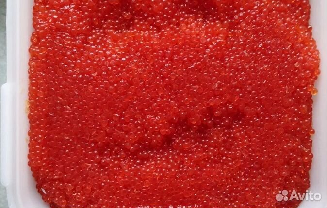 Красная икра август 2023 оптом и мелким оптом