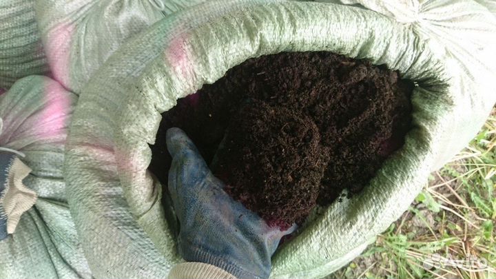 Перегной (компост) Калининграде как удобрение