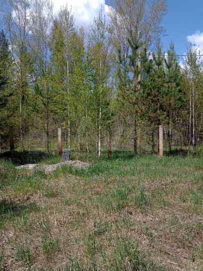 Участок 17 сот. (СНТ, ДНП)