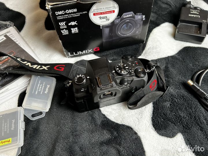 Panasonic lumix g80