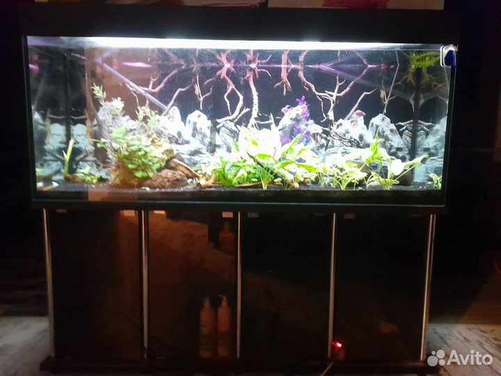 Аквариум