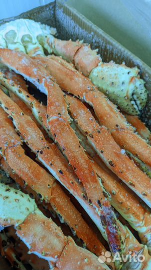 Рыба и морепродукты