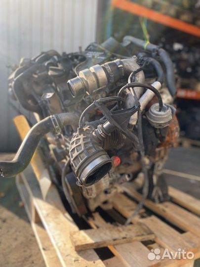 Двигатель, Nissan Navara D40 2008