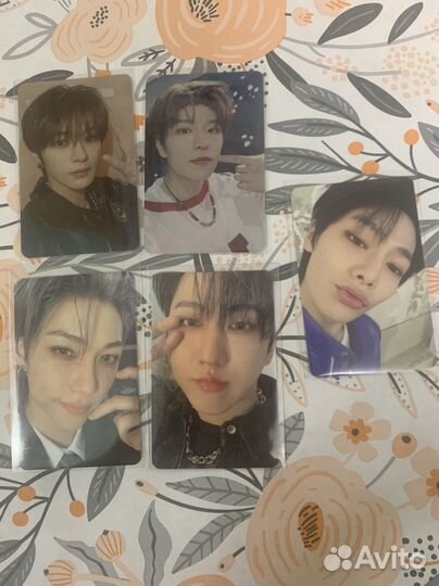 Stray kids 5 star карты