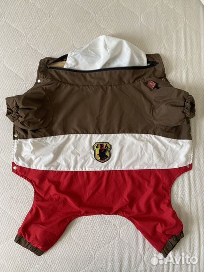 Костюм для собаки демисезон