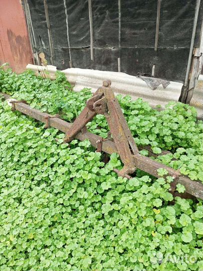 Телега на трактор, плуг и распахиватель картофеля