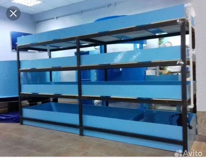 Узв Передержка рыбы и раков