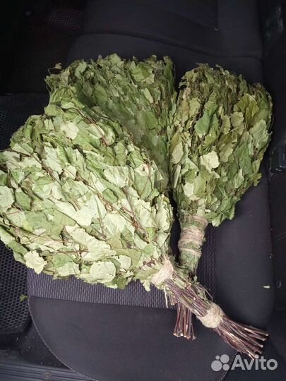 Березовые веники