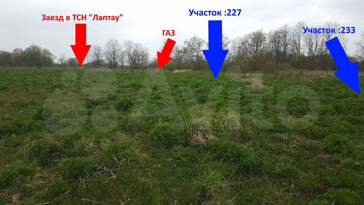 Участок 10 сот. (СНТ, ДНП)