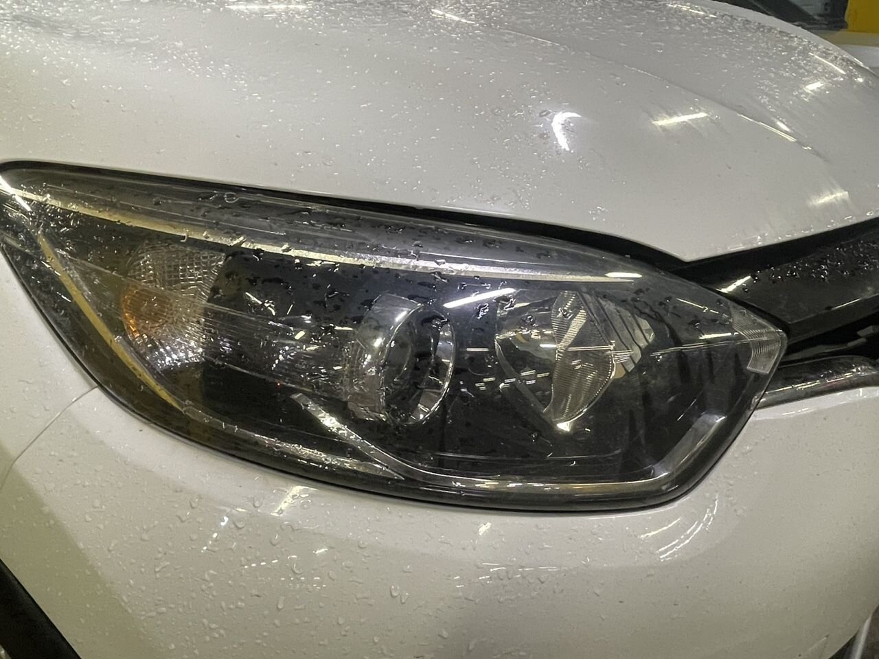Renault Kaptur: фото владельца