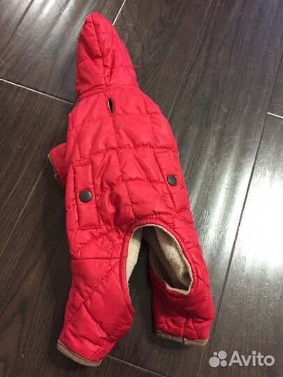 Курточка для тойчика