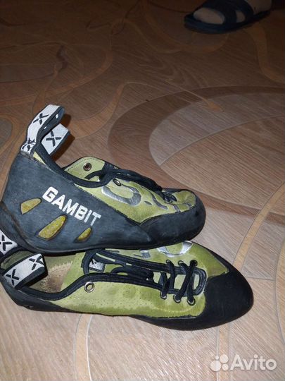 Скальные туфли