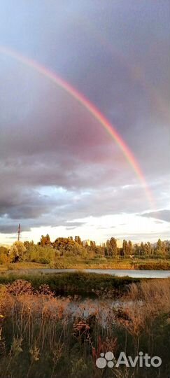 Тексты, песни, стихи на заказ