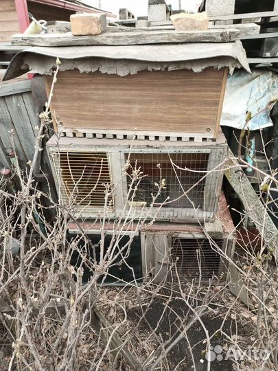 Клетка для кролика
