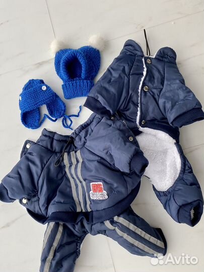 Зимний комбинезон для собак мелких пород