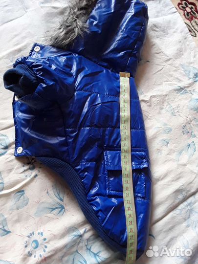 Комбинезон для маленькой собачки