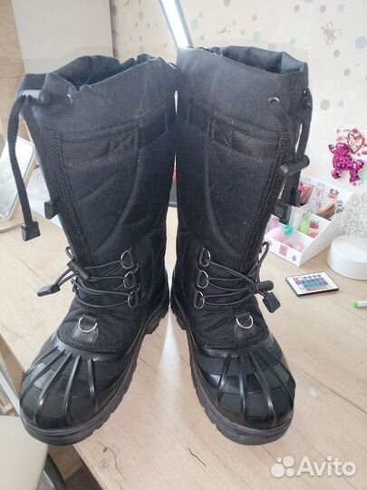 Баск Арктик