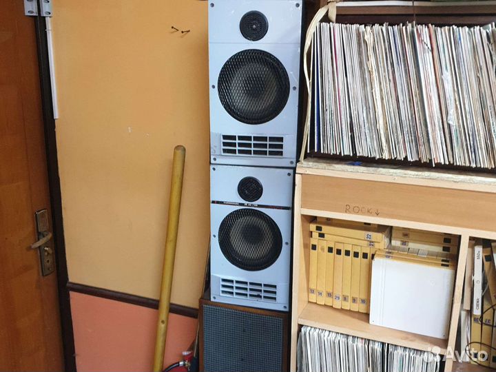 Колонки Электроника 25ас-128