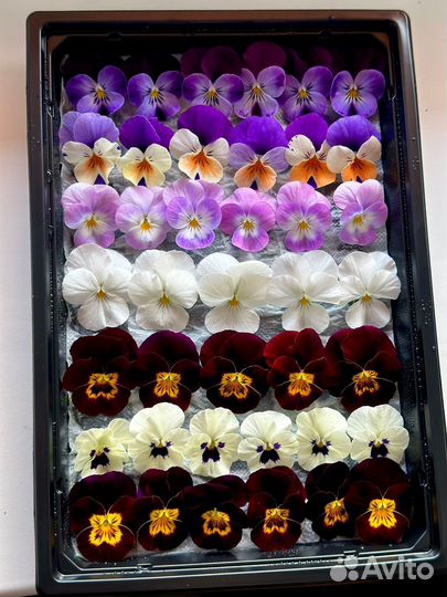 Пишевые (съедобное) цветы