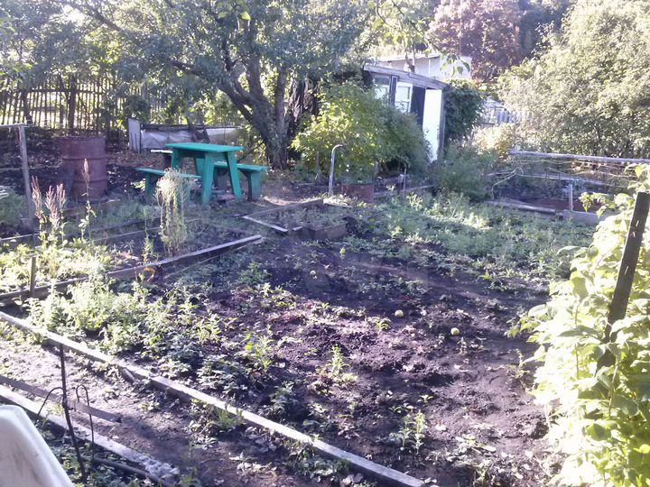 Дача 12 м² на участке 5 сот.