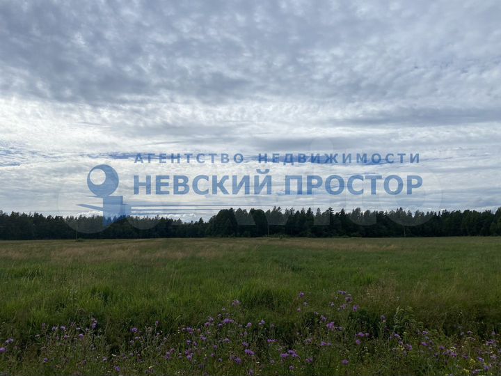 Участок 3,5 га (СНТ, ДНП)