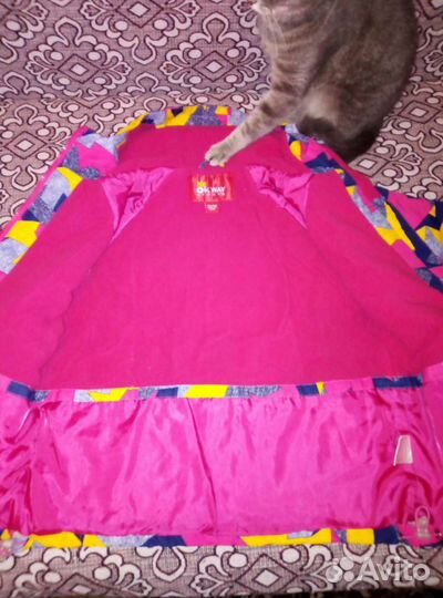 Демисезонный костюм