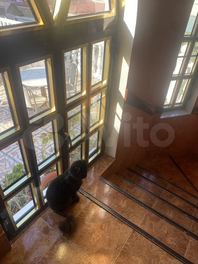 Комната 18 м², 2/3 эт.