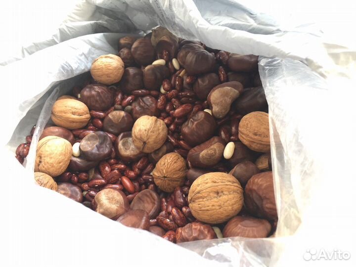 Фасоль для сухого бассейна