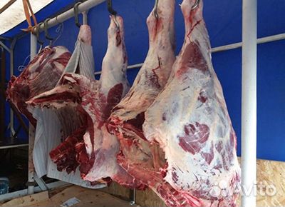 Мясо домашнее говядина