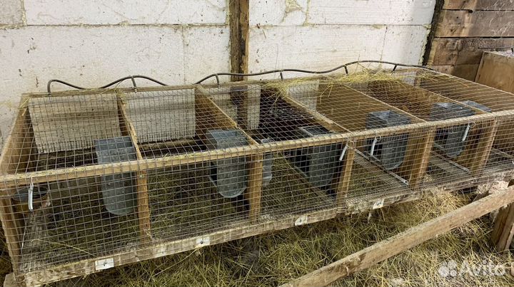 Клетка для кролика