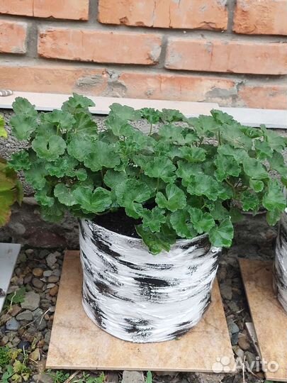 Уличные горшки