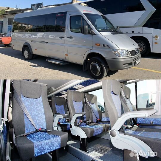 Заказ автобус, микроавтобус.Пассажирские перевозки