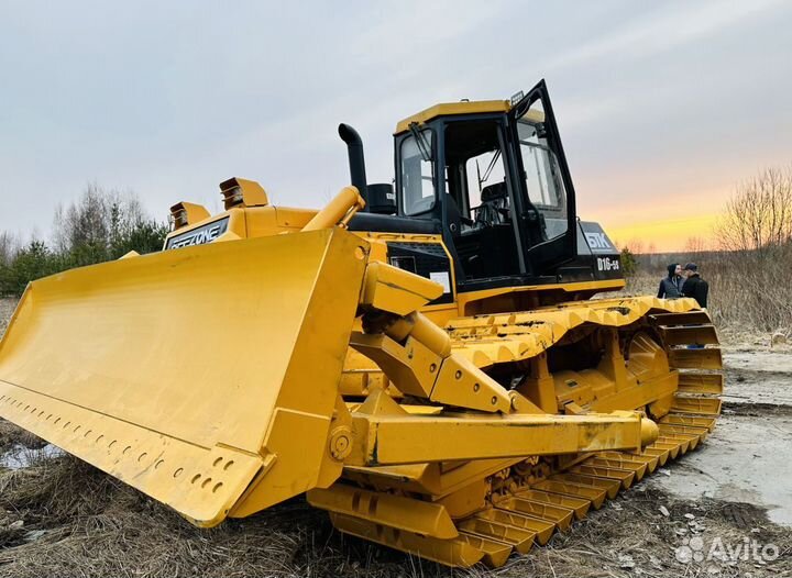 Beezone D16-5S, 2023