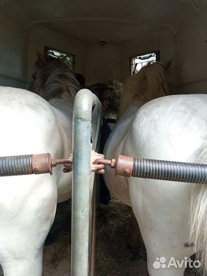 Перевозка коров, коней, и др жив, грузоперевозки