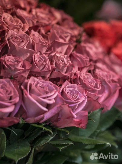 Цветы розы и букеты