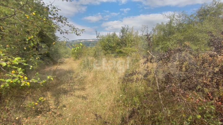 Участок 7,48 га (СНТ, ДНП)