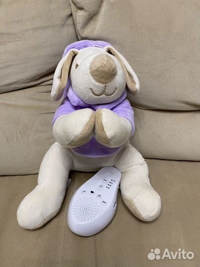 Дрема собачка