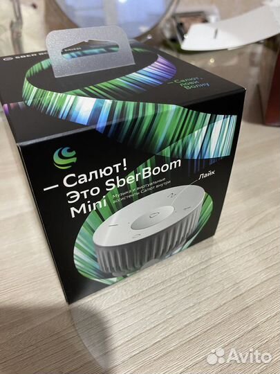 Sberboom mini