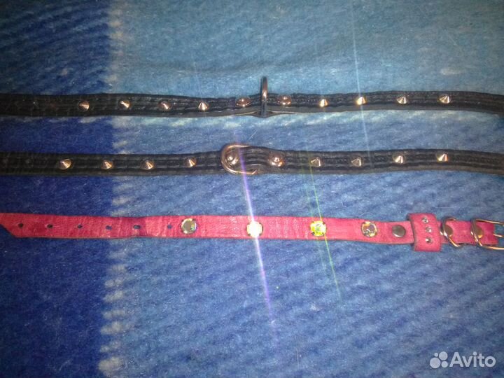 Одежда, ринговка, ошейники, поилки, обувь, игрушки