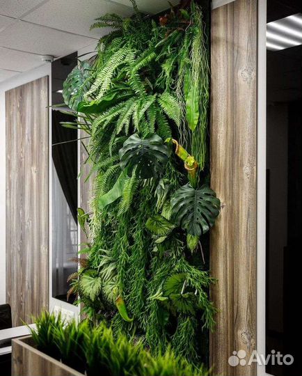 Деревья Фитостены и озеленение интерьера