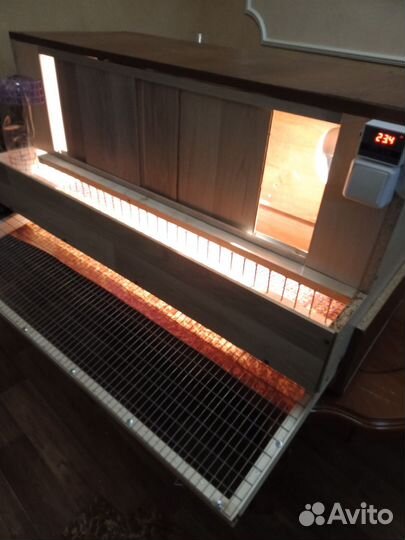 Брудер для цыплят