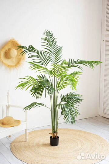 Искусственное дерево Пальма Хамедорея